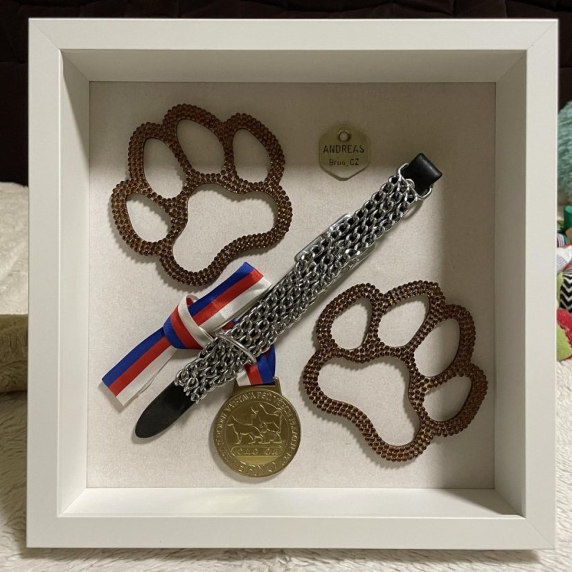 Box dekorační/pamětní - psi - Barva: Bílá, Pozadí: Černá