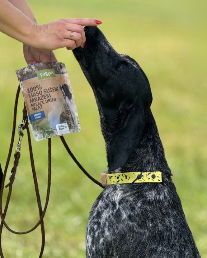 Polostahovací obojek BioThane ® GRAFFITI